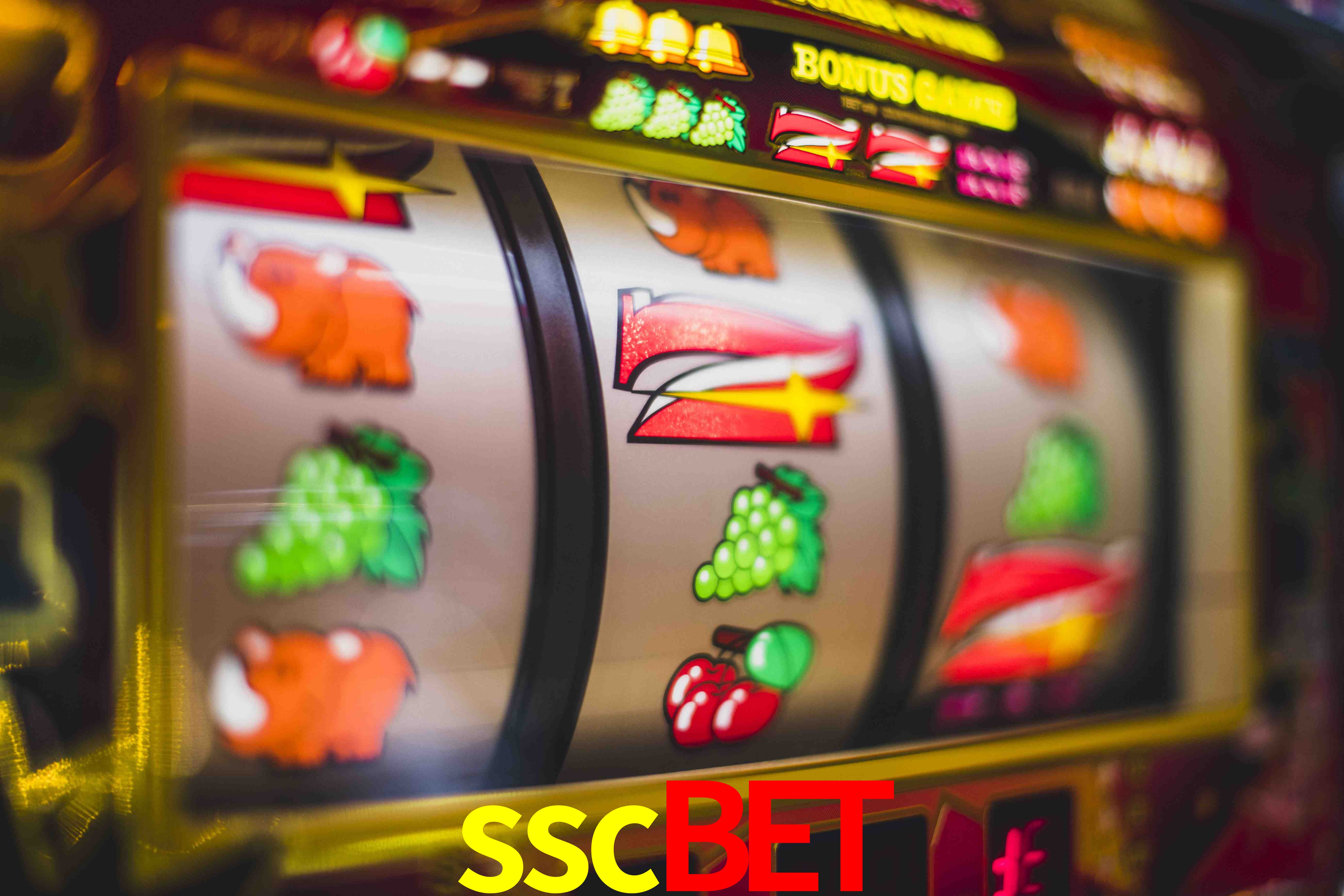 Sports Statistics sscbet